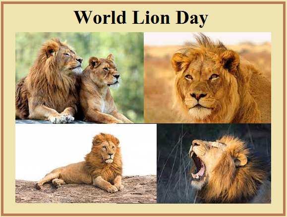 World Lion Day 